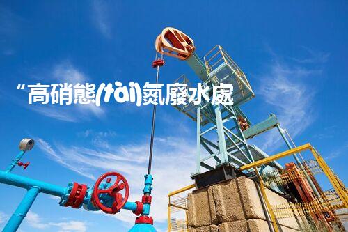 “高硝態(tài)氮廢水處理，綠色環(huán)保新篇章”